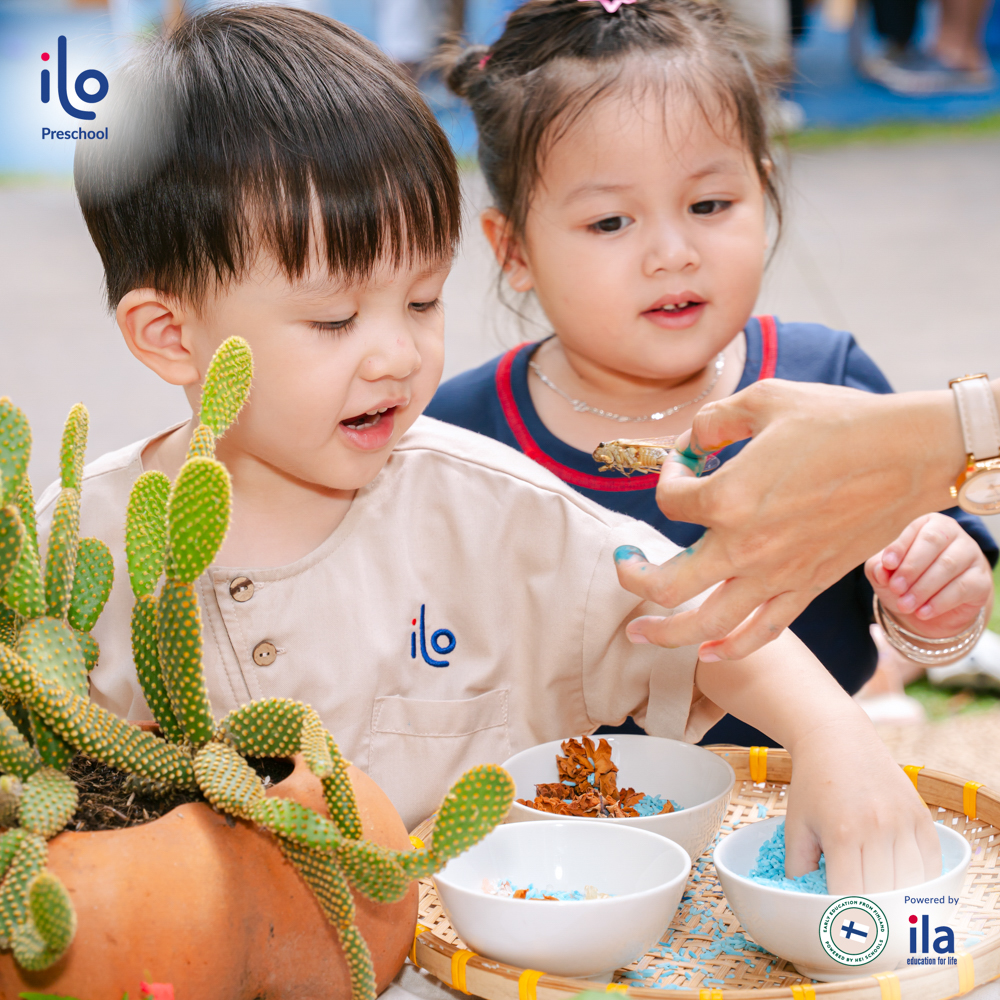 Trải nghiệm thiên nhiên ngoài trời